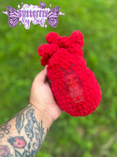 Load image into Gallery viewer, Anatomical Heart Plushie / Anatomical Heart Stash Jar